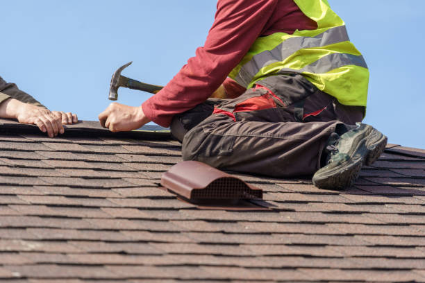 Best Roofing Contractor Near Me  in Wolfe City, TX
