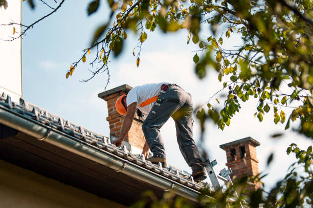Best Storm Damage Roof Repair  in Wolfe City, TX