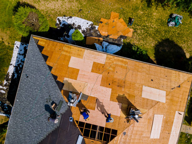 Best Tile Roofing Contractor  in Wolfe City, TX
