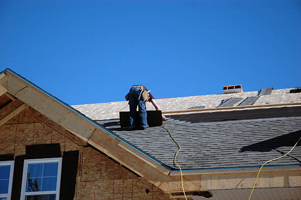 Best Gutter Installation and Roofing  in Wolfe City, TX