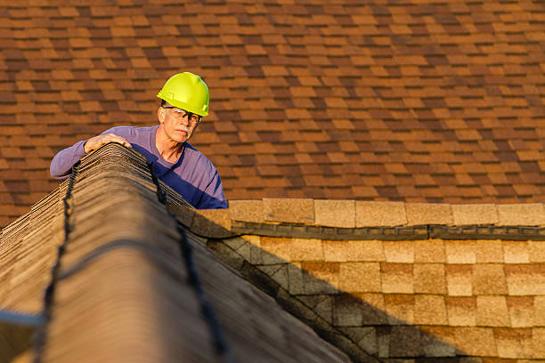 Reliable Wolfe City, TX Roofing Contractor Solutions