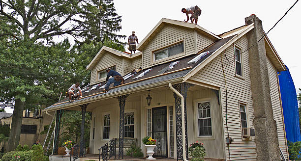 Best Slate Roofing Contractor  in Wolfe City, TX