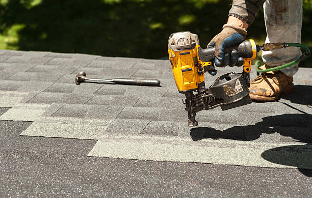 Best Roof Gutter Cleaning  in Wolfe City, TX