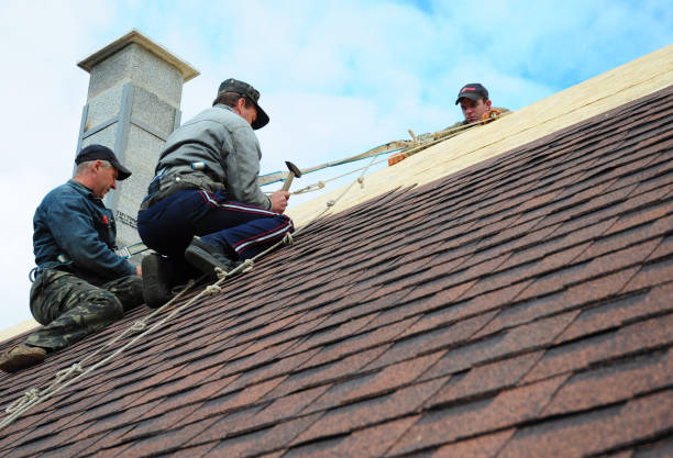 Best Residential Roofing Contractor  in Wolfe City, TX