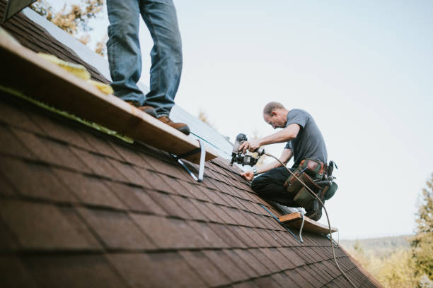 Best Roof Maintenance Services  in Wolfe City, TX