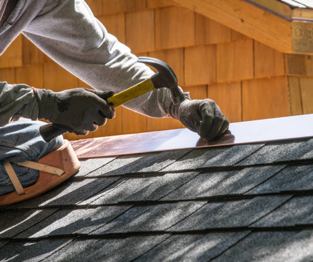 Best Roof Repair Services  in Wolfe City, TX
